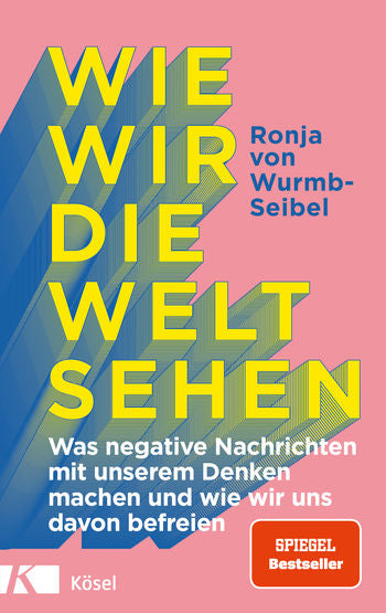 Buch Wie wir die Welt sehen
