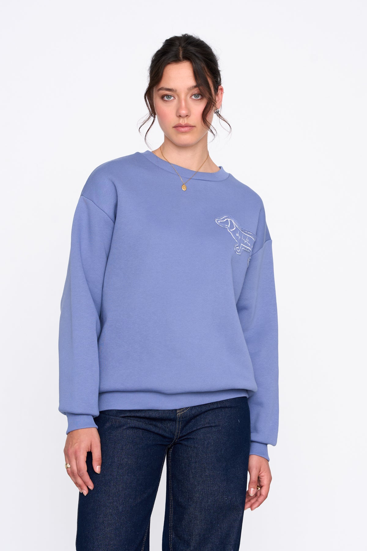 Sweatshirt in Blau