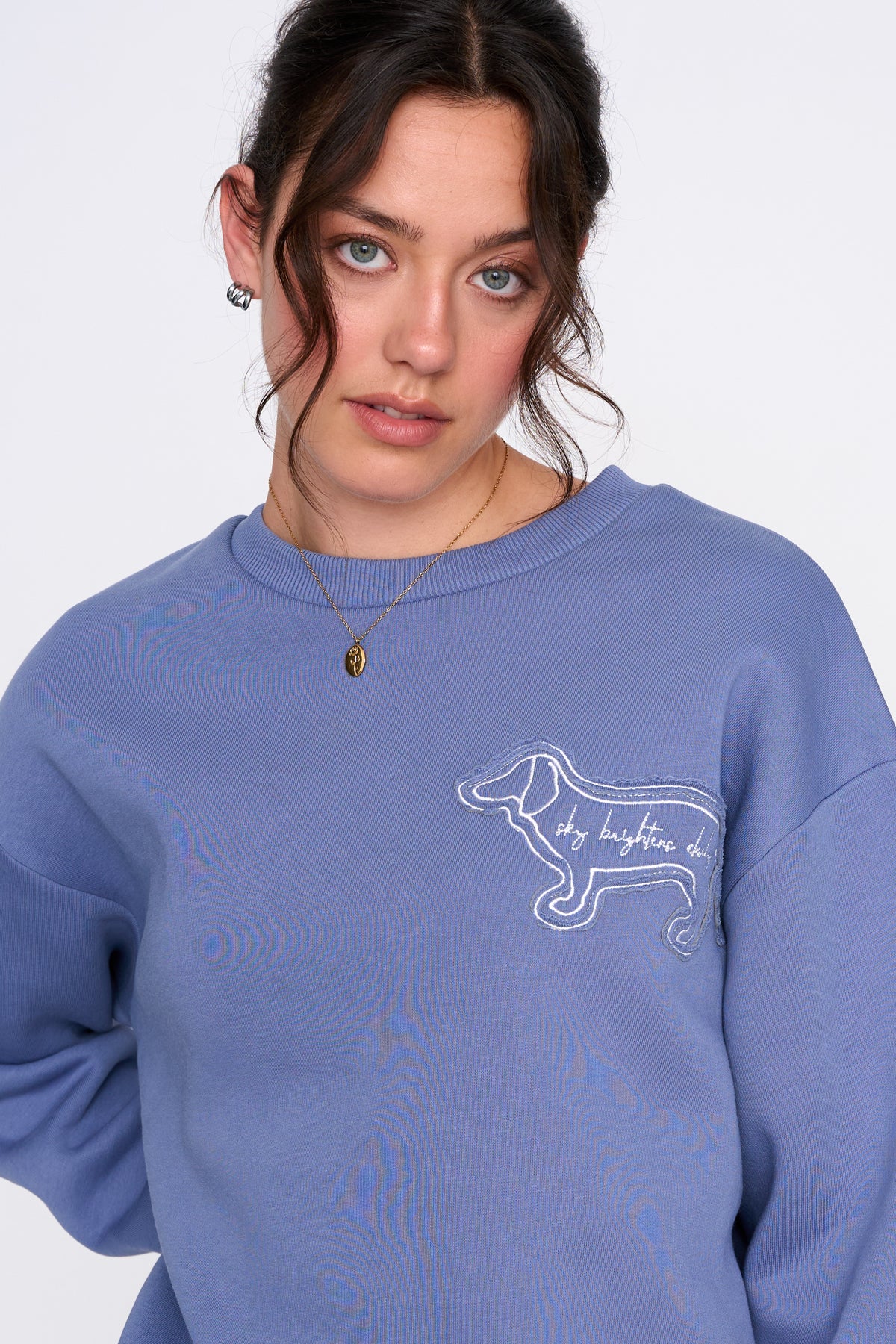 Sweatshirt in Blau