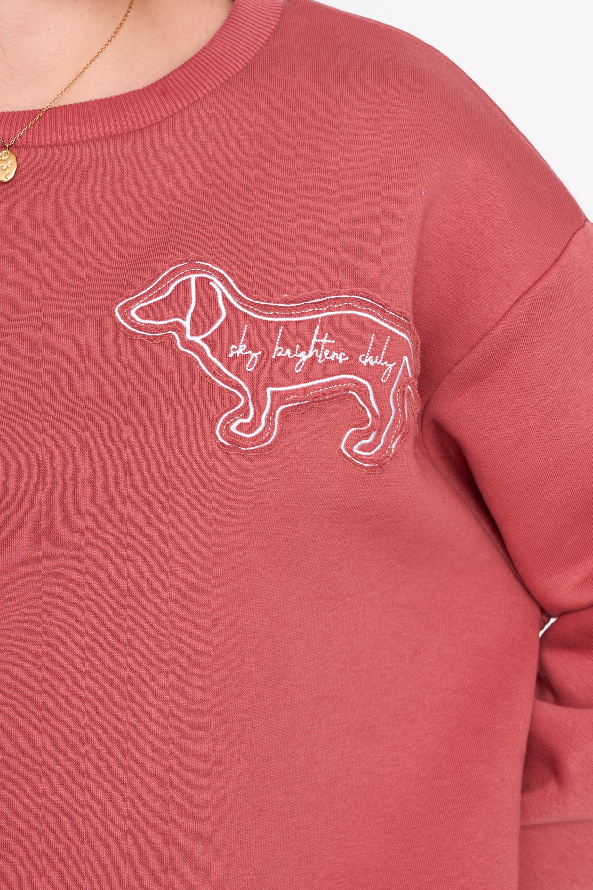 Sweatshirt in Rost