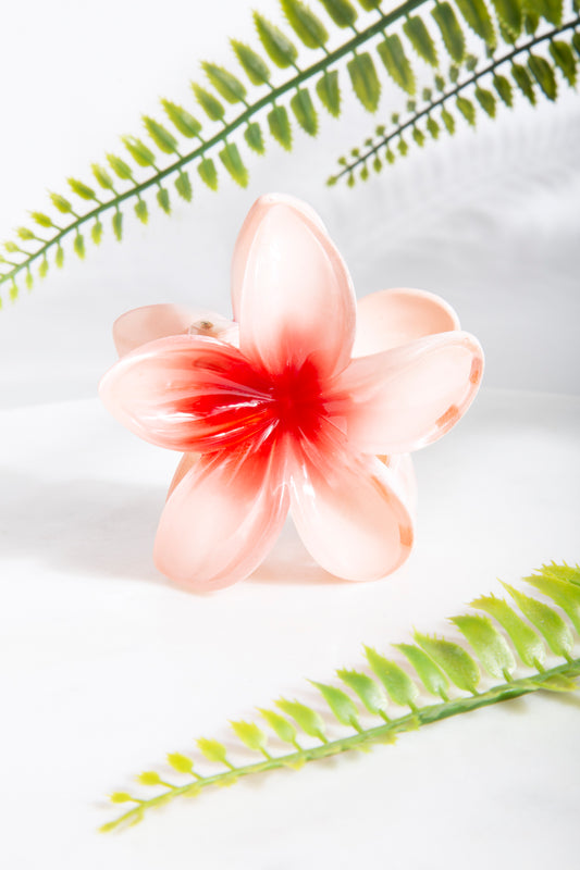 Haarklammer in Rosa