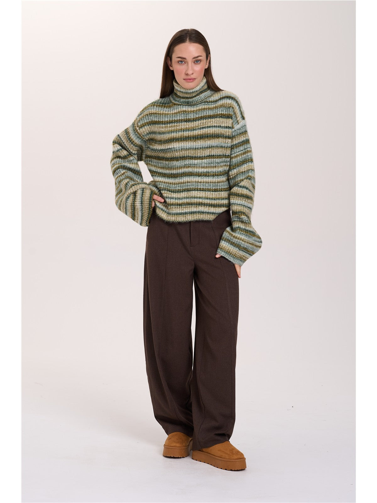 Pullover mit Streifen und Rollkragen