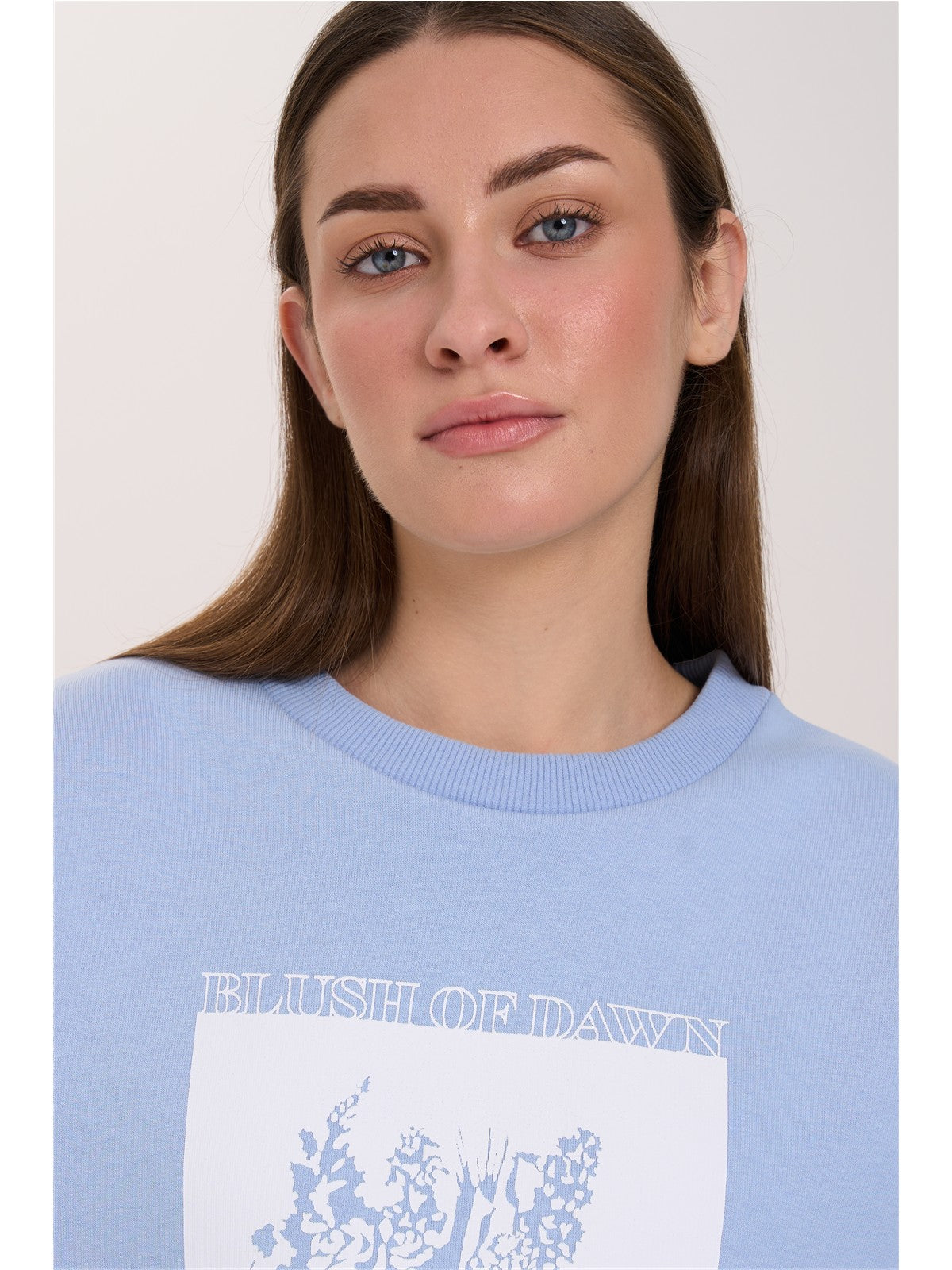Sweatshirt in Blau