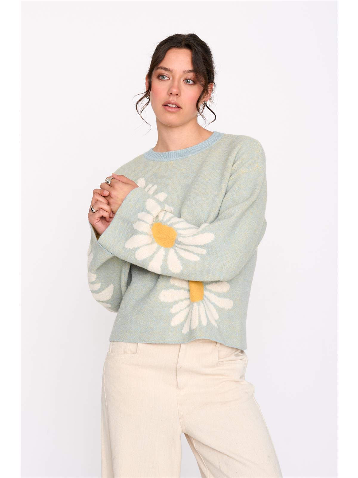 Pullover gemustert