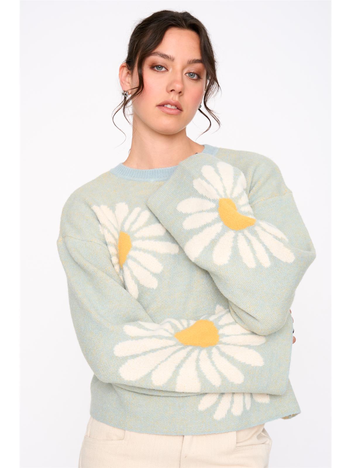 Pullover gemustert