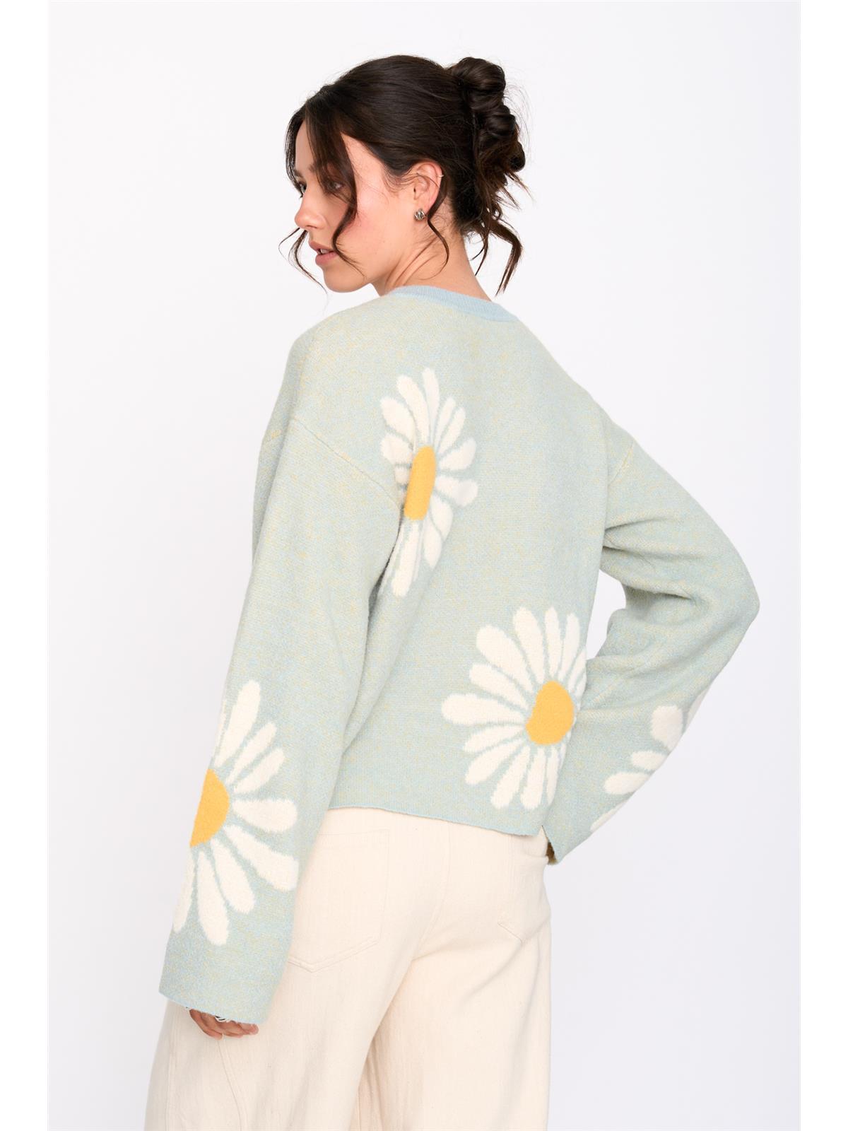 Pullover gemustert